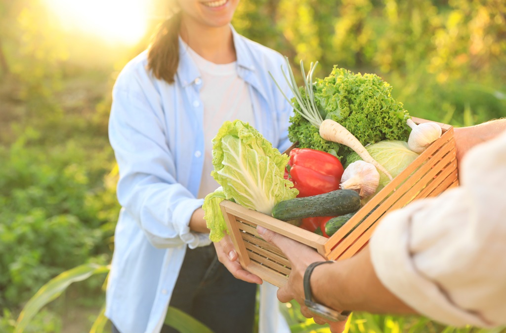 JÖN az Agro4SDGs SPRINT! – November 28., December 7.